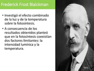 Frederick Frost Blalckman
• Investigó el efecto combinado
de la luz y de la temperatura
sobre la fotosíntesis.
• A consecuencia de los
resultados obtenidos planteó
que en la fotosíntesis coexistían
dos factores limitantes: la
intensidad lumínica y la
temperatura.
1905
 