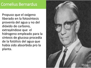 Cornelius Bernardus
Propuso que el oxígeno
liberado en la fotosíntesis
provenía del agua y no del
dióxido de carbono,
extrayéndose que el
hidrogeno empleado para la
síntesis de glucosa procedía
de la fotólisis del agua que
había sido absorbida pro la
planta.
19051920
 