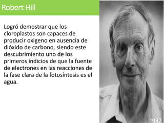 Robert Hill
Logró demostrar que los
cloroplastos son capaces de
producir oxigeno en ausencia de
dióxido de carbono, siendo este
descubrimiento uno de los
primeros indicios de que la fuente
de electrones en las reacciones de
la fase clara de la fotosíntesis es el
agua.
190519201937
 