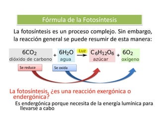 La fotosíntesis es un proceso complejo. Sin embargo,
la reacción general se puede resumir de esta manera:
La fotosíntesis, ¿es una reacción exergónica o
endergónica?
Es endergónica porque necesita de la energía lumínica para
llevarse a cabo
Fórmula de la Fotosíntesis
Se oxidaSe reduce
 