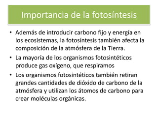 Importancia de la fotosíntesis
• Además de introducir carbono fijo y energía en
los ecosistemas, la fotosíntesis también afecta la
composición de la atmósfera de la Tierra.
• La mayoría de los organismos fotosintéticos
produce gas oxígeno, que respiramos
• Los organismos fotosintéticos también retiran
grandes cantidades de dióxido de carbono de la
atmósfera y utilizan los átomos de carbono para
crear moléculas orgánicas.
 