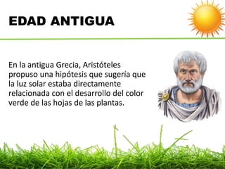 EDAD ANTIGUA
En la antigua Grecia, Aristóteles
propuso una hipótesis que sugería que
la luz solar estaba directamente
relacionada con el desarrollo del color
verde de las hojas de las plantas.
 