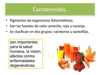 Carotenoides.
• Pigmentos de organismos fotosintéticos.
• Son las fuentes de color amarillo, rojo y naranja.
• Se clasifican en dos grupos: carotenos y xantofilas.
son importantes
para la salud
humana, la visión,
efectos contra
enfermedades
degenerativas.
 