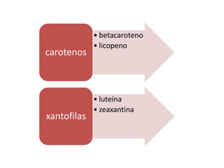 • betacaroteno
• licopeno
carotenos
• luteína
• zeaxantina
xantofilas
 