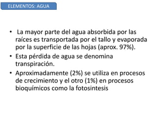 • La mayor parte del agua absorbida por las
raíces es transportada por el tallo y evaporada
por la superficie de las hojas (aprox. 97%).
• Esta pérdida de agua se denomina
transpiración.
• Aproximadamente (2%) se utiliza en procesos
de crecimiento y el otro (1%) en procesos
bioquímicos como la fotosintesis
ELEMENTOS: AGUA
 