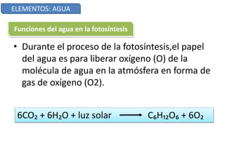 ELEMENTOS: AGUA
• Durante el proceso de la fotosíntesis,el papel
del agua es para liberar oxígeno (O) de la
molécula de agua en la atmósfera en forma de
gas de oxígeno (O2).
Funciones del agua en la fotosíntesis
6CO₂ + 6H₂O + luz solar C₆H₁₂O₆ + 6O₂
 