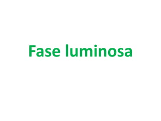 Fase luminosa
 