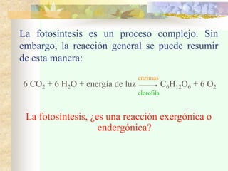 La fotosíntesis es un proceso complejo. Sin
embargo, la reacción general se puede resumir
de esta manera:
6 CO2 + 6 H2O + energía de luz C6H12O6 + 6 O2
La fotosíntesis, ¿es una reacción exergónica o
endergónica?
enzimas
clorofila
 