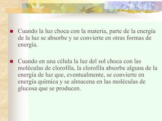  Cuando la luz choca con la materia, parte de la energía
de la luz se absorbe y se convierte en otras formas de
energía.
 Cuando en una célula la luz del sol choca con las
moléculas de clorofila, la clorofila absorbe alguna de la
energía de luz que, eventualmente, se convierte en
energía química y se almacena en las moléculas de
glucosa que se producen.
 