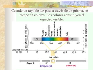 Cuando un rayo de luz pasa a través de un prisma, se
rompe en colores. Los colores constituyen el
espectro visible.
 