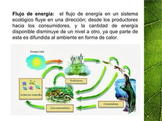 Flujo de energía: el flujo de energía en un sistema
ecológico fluye en una dirección; desde los productores
hacia los consumidores, y la cantidad de energía
disponible disminuye de un nivel a otro, ya que parte de
esta es difundida al ambiente en forma de calor.
 