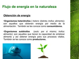 Obtención de energía
•Organismos heterótrofos ( hetero: distinto; trofos: alimento):
son aquellos que obtienen energía por medio de la
alimentación. También se les conoce como consumidores.
•Organismos autótrofos (auto: por sí mismo; trofos:
alimento): son aquellos que tienen la capacidad de sintetizar
alimento y así obtener energía para sus procesos vitales.
También se les conoce como productores.
Flujo de energía en la naturaleza
 