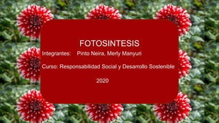 FOTOSINTESIS
Integrantes: Pinto Neira, Merly Manyuri
Curso: Responsabilidad Social y Desarrollo Sostenible
2020
 