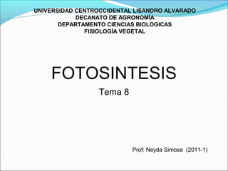 UNIVERSIDAD CENTROCCIDENTAL LISANDRO ALVARADO
            DECANATO DE AGRONOMÍA
       DEPARTAMENTO CIENCIAS BIOLOGICAS
              FISIOLOGÍA VEGETAL




    FOTOSINTESIS
                  Tema 8




                           Prof: Neyda Simosa (2011-1)
 