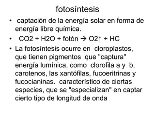 fotosíntesis
• captación de la energía solar en forma de
energía libre química.
• CO2 + H2O + fotón  O2 ⁭ + HC
• La fotosíntesis ocurre en cloroplastos,
que tienen pigmentos que "captura"
energía lumínica, como clorofila a y b,
carotenos, las xantófilas, fucoeritrinas y
fucocianinas. característico de ciertas
especies, que se "especializan" en captar
cierto tipo de longitud de onda
 