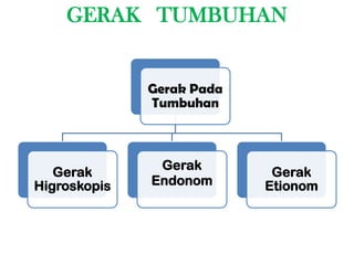 GERAK TUMBUHAN


              Gerak Pada
              Tumbuhan



               Gerak
   Gerak                    Gerak
Higroskopis   Endonom      Etionom
 