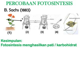 PERCOBAAN FOTOSINTESIS
 B. Sachs (1883)




   (1)

Kesimpulan:
Fotosintesis menghasilkan pati / karbohidrat
 