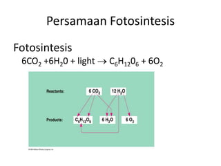 Persamaan Fotosintesis
Fotosintesis
6CO2 +6H20 + light C6H1206 + 6O2
 