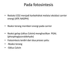 Pada fotosintesis
• Reduksi CO2 menjadi karbohidrat melalui oksidasi carrier
energi (ATP, NADPH)
• Reaksi terang memberi energi pada carrier
• Reaksi gelap (siklus Calvin) menghasilkan PGAL
(phosphoglyceraldehyde)
• Fotosintesis terdiri dari dua proses yaitu
• -Reaksi terang
• -Siklus Calvin
 