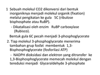 1 Sebuah molekul CO2 dikonversi dari bentuk
inorganiknya menjadi molekul organik (fixation)
melalui pengikatan ke gula 5C (ribulose
bisphosphate atau RuBP).
- Dikatalisasi oleh enzim RuBP carboxylase
(Rubisco).
Bentuk gula 6C pecah menjadi 3-phosphoglycerate
2. Tiap molekul 3-phosphoglycerate menerima
tambahan grup fosfat membentuk 1,3-
Bisphosphoglycerate (fosforilasi ATP)
- NADPH dioksidasi dan elektron yang ditransfer ke
1,3-Bisphosphoglycerate memecah molekul dengan
tereduksi menjadi Glyceraldehyde 3-phosphate
 