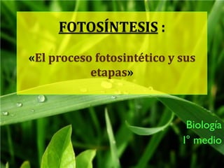 FOTOSÍNTESIS :
«El proceso fotosintético y sus
etapas»
Biología
I° medio
 