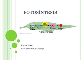 FOTOSÍNTESIS
Leyla Pérez
San Fernando College
 