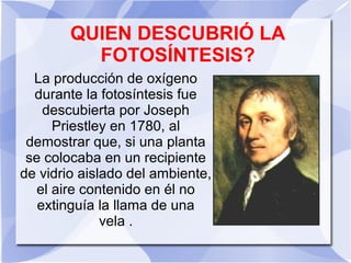 QUIEN DESCUBRIÓ LA
FOTOSÍNTESIS?
La producción de oxígeno
durante la fotosíntesis fue
descubierta por Joseph
Priestley en 1780, al
demostrar que, si una planta
se colocaba en un recipiente
de vidrio aislado del ambiente,
el aire contenido en él no
extinguía la llama de una
vela .
 