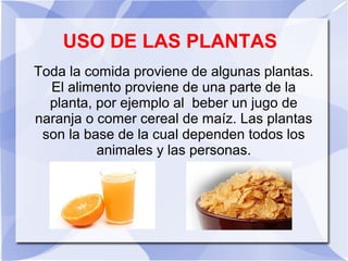 USO DE LAS PLANTAS
Toda la comida proviene de algunas plantas.
El alimento proviene de una parte de la
planta, por ejemplo al beber un jugo de
naranja o comer cereal de maíz. Las plantas
son la base de la cual dependen todos los
animales y las personas.
 