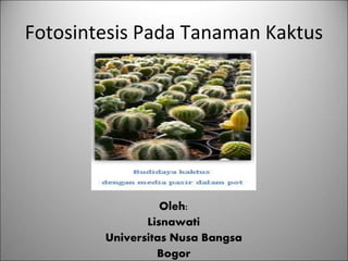 Fotosintesis Pada Tanaman Kaktus
Oleh:
Lisnawati
Universitas Nusa Bangsa
Bogor
 