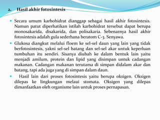 2. Hasil akhir fotosintesis
 Secara umum karbohidrat dianggap sebagai hasil akhir fotosintesis.
Namun patut diperhatikan istilah karbohidrat tersebut dapat berupa
monosakarida, disakarida, dan polisakaria. Sebenarnya hasil akhir
fotosintesis adalah gula sederhana beratom C-3. Senyawa.
 Glukosa diangkut melalui floem ke sel-sel daun yang lain yang tidak
berfotosintesis, yakni sel-sel batang dan sel-sel akar untuk keperluan
tumbuhan itu sendiri. Sisanya diubah ke dalam bentuk lain yaitu
menjadi amilum, protein dan lipid yang disimpan untuk cadangan
makanan. Cadangan makanan terutama di simpan didalam akar dan
batang, tapi ada juga yang di simpan dalam daun.
 Hasil lain dari proses fotosintesis yaitu berupa oksigen. Oksigen
dilepas ke lingkungan melaui stomata. Oksigen yang dilepas
dimanfaatkan oleh organisme lain untuk proses pernapasan.
 