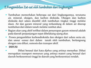 E.Pengambilan Zat-zat oleh tumbuhan dari lingkungan
 Tumbuhan memerlukan beberapa zat dari lingkungannya, terutama
air, mineral, oksigen, dan karbon dioksida. Oksigen dan karbon
dioksida dari udara diambil oleh tumbuhan tingkat tinggi melalui
daun. Air dan garam mineral yang terkandung di dalam air diserap
tumbuhan dari dalam tanah melalui rambut akar.
 Bagian akar yang aktif terlibat dalam penyerapan garam mineral adalah
pada daerah perpanjangan tepat dibelakang ujung akar.
 Proses pengambilan karbondioksida dan oksigen dari udara serta air,
dan unsur -unsur dari dalam tanah oleh tumbuhan, berlangsung
dengan cara difusi, osmosis dan transpor aktif.
 DIFUSI
 Difusi berasal dari kata diphus yang artinya menyebar. Difusi
merupakan transport menurun yang artinya materi yang berasal dari
daerah berkosentrasi tinggi ke daerah yang berkosentrasi rendah.
 