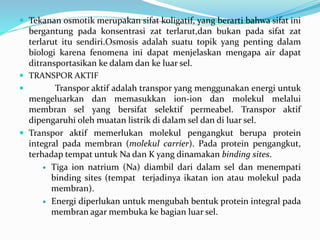  Tekanan osmotik merupakan sifat koligatif, yang berarti bahwa sifat ini
bergantung pada konsentrasi zat terlarut,dan bukan pada sifat zat
terlarut itu sendiri.Osmosis adalah suatu topik yang penting dalam
biologi karena fenomena ini dapat menjelaskan mengapa air dapat
ditransportasikan ke dalam dan ke luar sel.
 TRANSPOR AKTIF
 Transpor aktif adalah transpor yang menggunakan energi untuk
mengeluarkan dan memasukkan ion-ion dan molekul melalui
membran sel yang bersifat selektif permeabel. Transpor aktif
dipengaruhi oleh muatan listrik di dalam sel dan di luar sel.
 Transpor aktif memerlukan molekul pengangkut berupa protein
integral pada membran (molekul carrier). Pada protein pengangkut,
terhadap tempat untuk Na dan K yang dinamakan binding sites.
 Tiga ion natrium (Na) diambil dari dalam sel dan menempati
binding sites (tempat terjadinya ikatan ion atau molekul pada
membran).
 Energi diperlukan untuk mengubah bentuk protein integral pada
membran agar membuka ke bagian luar sel.
 