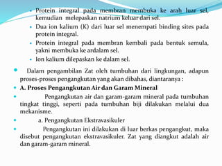  Protein integral pada membran membuka ke arah luar sel,
kemudian melepaskan natrium keluar dari sel.
 Dua ion kalium (K) dari luar sel menempati binding sites pada
protein integral.
 Protein integral pada membran kembali pada bentuk semula,
yakni membuka ke ardalam sel.
 Ion kalium dilepaskan ke dalam sel.
 Dalam pengambilan Zat oleh tumbuhan dari lingkungan, adapun
proses-proses pengangkutan yang akan dibahas, diantaranya :
 A. Proses Pengangkutan Air dan Garam Mineral
 Pengangkutan air dan garam-garam mineral pada tumbuhan
tingkat tinggi, seperti pada tumbuhan biji dilakukan melalui dua
mekanisme.
 a. Pengangkutan Ekstravasikuler
 Pengangkutan ini dilakukan di luar berkas pengangkut, maka
disebut pengangkutan ekstravasikuler. Zat yang diangkut adalah air
dan garam-garam mineral.
 