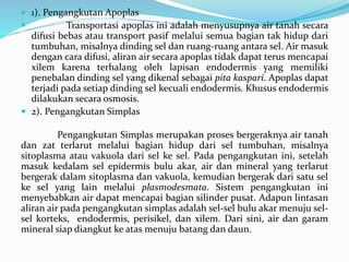  1). Pengangkutan Apoplas
 Transportasi apoplas ini adalah menyusupnya air tanah secara
difusi bebas atau transport pasif melalui semua bagian tak hidup dari
tumbuhan, misalnya dinding sel dan ruang-ruang antara sel. Air masuk
dengan cara difusi, aliran air secara apoplas tidak dapat terus mencapai
xilem karena terhalang oleh lapisan endodermis yang memiliki
penebalan dinding sel yang dikenal sebagai pita kaspari. Apoplas dapat
terjadi pada setiap dinding sel kecuali endodermis. Khusus endodermis
dilakukan secara osmosis.
 2). Pengangkutan Simplas
Pengangkutan Simplas merupakan proses bergeraknya air tanah
dan zat terlarut melalui bagian hidup dari sel tumbuhan, misalnya
sitoplasma atau vakuola dari sel ke sel. Pada pengangkutan ini, setelah
masuk kedalam sel epidermis bulu akar, air dan mineral yang terlarut
bergerak dalam sitoplasma dan vakuola, kemudian bergerak dari satu sel
ke sel yang lain melalui plasmodesmata. Sistem pengangkutan ini
menyebabkan air dapat mencapai bagian silinder pusat. Adapun lintasan
aliran air pada pengangkutan simplas adalah sel-sel bulu akar menuju sel-
sel korteks, endodermis, perisikel, dan xilem. Dari sini, air dan garam
mineral siap diangkut ke atas menuju batang dan daun.
 