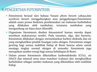 B.PENGERTIAN FOTOSINTESIS
 Fotosintesis berasal dari bahasa Yunani photo berarti cahaya,dan
synthesis berarti menggabungkan atau penggabungan.Fotosintesis
adalah suatu proses biokimia pembentukan zat makanan karbohidrat
yang dilakukan oleh tumbuhan, terutama tumbuhan yang
mengandung zat hijau daun (klorofil).
 Organisme fotosintesis disebut fotoautotrof karena mereka dapat
membuat makanannya sendiri. Pada tanaman, alga, dan bacteria,
fotosintesis dilakukan dengan memanfaatkan karbon dioksida dan air
yang menghasilkan produk buangan yaitu oksigen. Fotosintesis sangat
penting bagi semua makhluk hidup di Bumi karena selain untuk
menjaga tingkat normal oksigen di atmosfer, fotosintesis juga
merupakan sumber energi bagi semua kehidupan di Bumi.
 Dalam proses fotosintesis dibutuhkan karbondioksida (CO2), air
(H2O) dan mineral serta sinar matahari (cahaya) dan menghasilkan
karbohidrat sebagai sumber makanan yang dibutuhkan oleh makhluk
hidup.
 