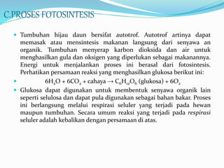 C.PROSES FOTOSINTESIS
 Tumbuhan hijau daun bersifat autotrof. Autotrof artinya dapat
memasak atau mensintesis makanan langsung dari senyawa an
organik. Tumbuhan menyerap karbon dioksida dan air untuk
menghasilkan gula dan oksigen yang diperlukan sebagai makanannya.
Energi untuk menjalankan proses ini berasal dari fotosintesis.
Perhatikan persamaan reaksi yang menghasilkan glukosa berikut ini:
 6H2O + 6CO2 + cahaya → C6H12O6 (glukosa) + 6O2
 Glukosa dapat digunakan untuk membentuk senyawa organik lain
seperti selulosa dan dapat pula digunakan sebagai bahan bakar. Proses
ini berlangsung melalui respirasi seluler yang terjadi pada hewan
maupun tumbuhan. Secara umum reaksi yang terjadi pada respirasi
seluler adalah kebalikan dengan persamaan di atas.
 
