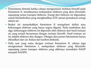  Fotosintesis dimulai ketika cahaya mengionisasi molekul klorofil pada
fotosistem II, membuatnya melepaskan elektron yang akan ditransfer
sepanjang rantai transpor elektron. Energi dari elektron ini digunakan
untuk fotofosforilasi yang menghasilkan ATP, satuan pertukaran energi
dalam sel.
 Reaksi ini menyebabkan fotosistem II mengalami defisit atau
kekurangan elektron yang harus segera diganti. Pada tumbuhan dan
alga, kekurangan elektron ini dipenuhi oleh elektron dari hasil ionisasi
air yang terjadi bersamaan dengan ionisasi klorofil. Hasil ionisasi air
ini adalah elektron dan oksigen. Oksigen dari proses fotosintesis hanya
dihasilkan dari air, bukan dari karbon dioksida.
 Pada saat yang sama dengan ionisasi fotosistem II, cahaya juga
mengionisasi fotosistem I, melepaskan elektron yang ditransfer
sepanjang rantai transpor elektron yang akhirnya mereduksi NADP
menjadi NADPH.
 