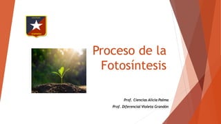 Proceso de la
Fotosíntesis
Prof. Ciencias Alicia Palma
Prof. Diferencial Violeta Grandón
 