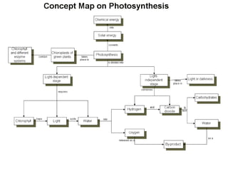 Fotosintesis presentasi