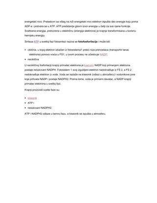 energetski nivo. Prelaskom sa višeg na niži energetski nivo elektron otpušta deo energije koju prima
ADP-a i pretvara se u ATP. ATP predstavlja glavni izvor energije u ćeliji za sve njene funkcije.
Svetlosna energija, pretvorena u električnu (energija elektrona) je krajnje transformisana u korisnu
hemijsku energiju.
Sinteza ATP u svetloj fazi fotosintezi naziva se fotofosforilacija i može biti:
 ciklična, u kojoj elektron izbačen iz fotosistema1 preko niza prenosilaca (transportni lanac
elektrona) ponovo vraća u FS1; u ovom procesu ne učestvuje NADP;
 neciklična
U necikličnoj fosforilaciji krajnji primalac elektrona je koenzim NADP koji primanjem elektrona
postaje redukovani NADPH. Fotosistem 1 svoj izgubljeni elektron nadoknađuje iz FS 2, a FS 2
nadoknađuje elektron iz vode. Voda se razlaže na kiseonik (odlazi u atmosferu) i vodonikove jone
koje prihvata NADP i postaje NADPH2. Prema tome, voda je primarni davalac, a NADP krajnji
primalac elektrona u svetloj fazi.
Krajnji proizvodi svetle faze su:
 kiseonik
 ATP i
 redukovani NADPH2.
ATP i NADPH2 odlaze u tamnu fazu, a kiseonik se ispušta u atmosferu.

 