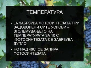 ТЕМПЕРАТУРА
● ЈА ЗАБРЗУВА ФОТОСИНТЕЗАТА ПРИ
ЗАДОВОЛЕНИ СИТЕ УСЛОВИ –
ЗГОЛЕМУВАЊЕТО НА
ТЕМПЕРАТУРАТА ЗА 10 С
-ФОТОСИНТЕЗАТА СЕ ЗАБРЗУВА
ДУПЛО
● НО НАД 40С СЕ ЗАПИРА
ФОТОСИНТЕЗАТА
 