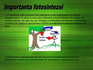 1) Fotosinteza este procesul care utilizează sursa inepuizabila de energie,
energia solară. În acest proces care utilizează provenit dioxidul de carbon din
mediul ambiant, din apă sau sol. Aceasta contribuie la mentinerea concentra ieiț
de dioxid de carbon la aproximativ 0,003% i evită accentuarea fenomenului deș
seră.
2) Eliminarea oxigenului rezultat din procesul de fotosinteză contribuie la
men inerea constantă a concentra iei din atmosferă la valoarea de 21%.ț ț
 