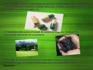 3) Din compu ii primari ai fotosintezei se utilizează numeroase substan e esistenteș ț3) Din compu ii primari ai fotosintezei se utilizează numeroase substan e esistenteș ț
în esuturile plantelor folosite în diferite ramuri ale industriei (alimentare, texțîn esuturile plantelor folosite în diferite ramuri ale industriei (alimentare, texț ttile, aile, a
coloran ilor, a medicamentelor, etc.țcoloran ilor, a medicamentelor, etc.ț
4) Fotosinteza este sursa principală de substan e organice, hrană pentruț4) Fotosinteza este sursa principală de substan e organice, hrană pentruț
organismele heterotrofe din ecosisteme.organismele heterotrofe din ecosisteme.
5) Procesul de fotosinteză furnizează civiliza iei umane pe lângă hrană, iț ș5) Procesul de fotosinteză furnizează civiliza iei umane pe lângă hrană, iț ș
combustibilii fosili care provin din biomasa care a rezultat cândva tot dincombustibilii fosili care provin din biomasa care a rezultat cândva tot din
fotosinteză.
 