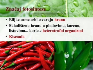 Značaj fotosinteze
• Biljke same sebi stvaraju hranu
• Skladištenu hranu u plodovima, korenu,
listovima... koriste heterotrofni organizmi
• Kiseonik
 
