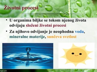 Životni procesi
• U organima biljke se tokom njenog života
odvijaju složeni životni procesi
• Za njihovo odvijanje je neophodna voda,
mineralne materije, sunčeva svetlost
 