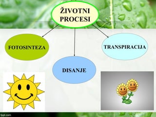 ŽIVOTNI
PROCESI
FOTOSINTEZA
DISANJE
TRANSPIRACIJA
 