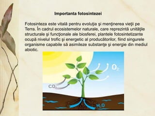 FOTOSINTEZA vvvvvvvvvvvvvvvvvvvvvvvvvvvvvvvvvvvvvvvvvvvvv.pdf