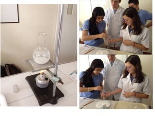 Fotos laboratorio 11°