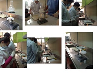 Fotos laboratorio 11°