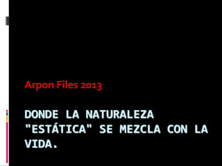 Arpon Files 2013

 